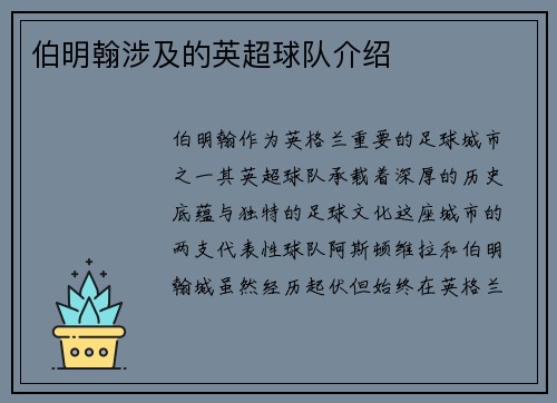 伯明翰涉及的英超球队介绍