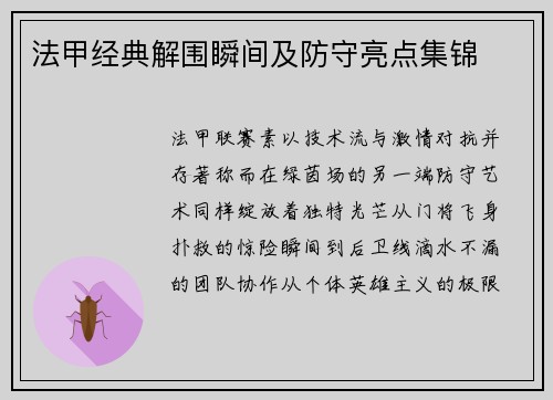 法甲经典解围瞬间及防守亮点集锦